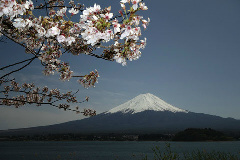 paysage fuji san